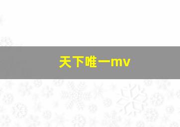 天下唯一mv