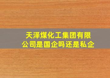 天泽煤化工集团有限公司是国企吗还是私企