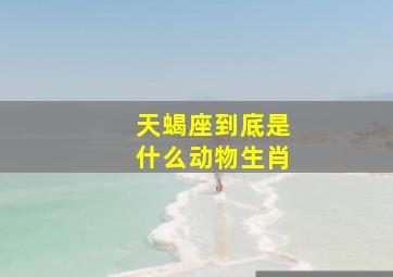 天蝎座到底是什么动物生肖