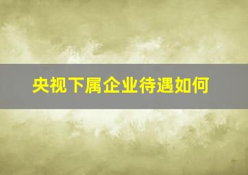 央视下属企业待遇如何