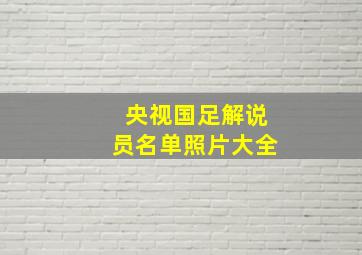 央视国足解说员名单照片大全