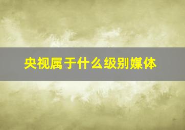 央视属于什么级别媒体