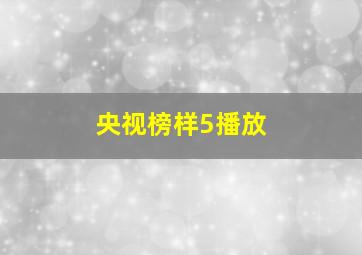 央视榜样5播放