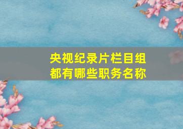 央视纪录片栏目组都有哪些职务名称