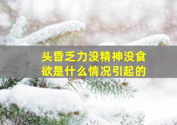 头昏乏力没精神没食欲是什么情况引起的