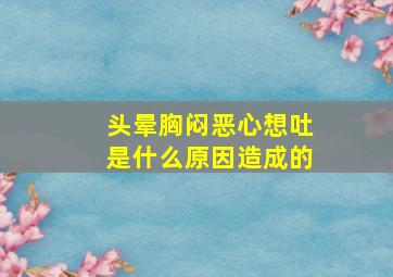 头晕胸闷恶心想吐是什么原因造成的