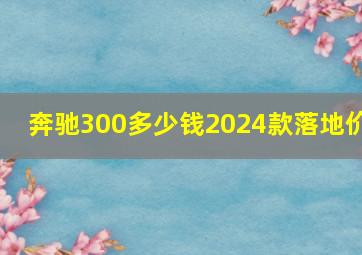 奔驰300多少钱2024款落地价