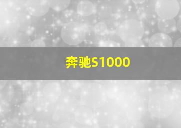 奔驰S1000