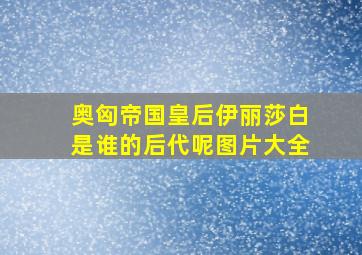 奥匈帝国皇后伊丽莎白是谁的后代呢图片大全