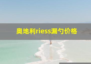 奥地利riess漏勺价格