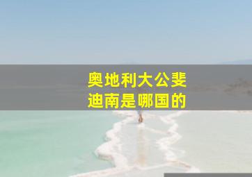 奥地利大公斐迪南是哪国的