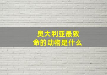 奥大利亚最致命的动物是什么