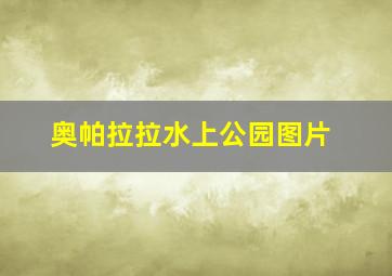 奥帕拉拉水上公园图片