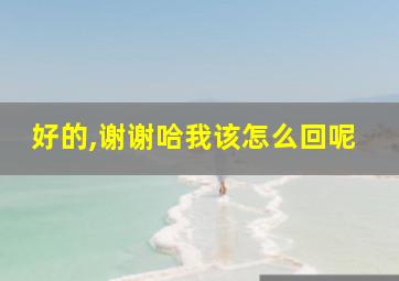 好的,谢谢哈我该怎么回呢