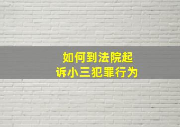 如何到法院起诉小三犯罪行为