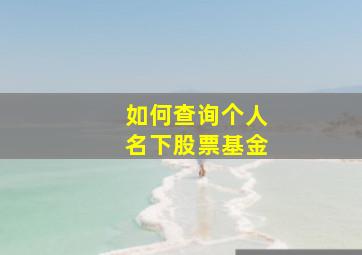 如何查询个人名下股票基金