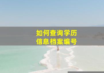 如何查询学历信息档案编号