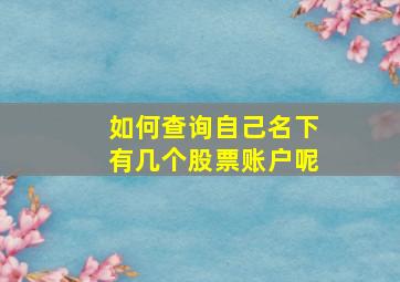 如何查询自己名下有几个股票账户呢