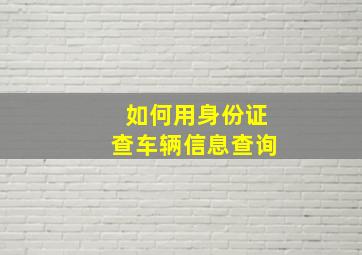 如何用身份证查车辆信息查询