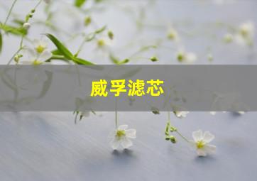 威孚滤芯