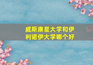 威斯康星大学和伊利诺伊大学哪个好