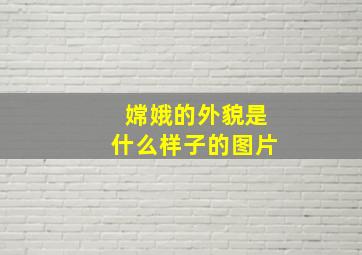 嫦娥的外貌是什么样子的图片