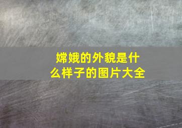 嫦娥的外貌是什么样子的图片大全