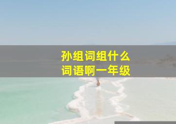 孙组词组什么词语啊一年级