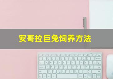 安哥拉巨兔饲养方法