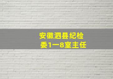 安徽泗县纪检委1一8室主任