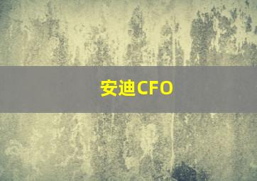 安迪CFO