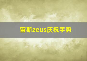 宙斯zeus庆祝手势