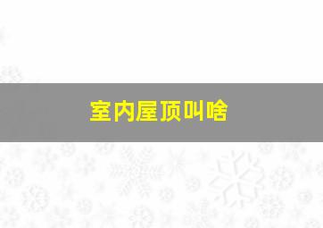 室内屋顶叫啥