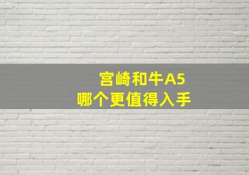 宫崎和牛A5哪个更值得入手