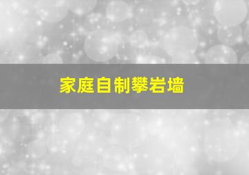 家庭自制攀岩墙