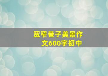 宽窄巷子美景作文600字初中