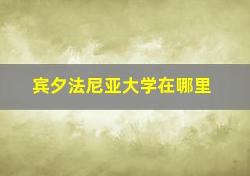 宾夕法尼亚大学在哪里