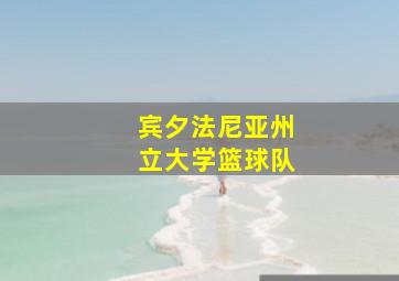 宾夕法尼亚州立大学篮球队