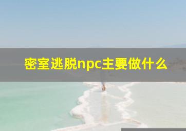 密室逃脱npc主要做什么