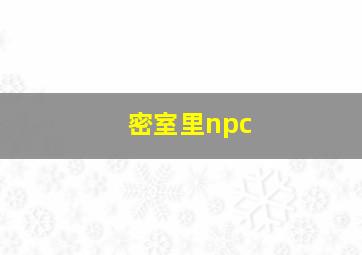 密室里npc