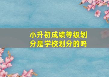 小升初成绩等级划分是学校划分的吗