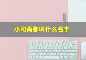 小和尚都叫什么名字