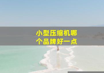 小型压缩机哪个品牌好一点