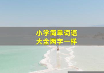 小学简单词语大全两字一样