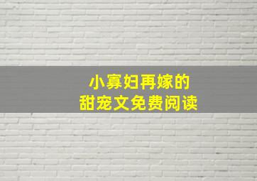 小寡妇再嫁的甜宠文免费阅读