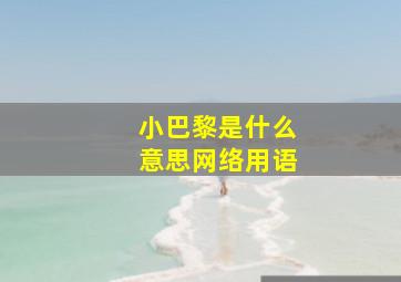 小巴黎是什么意思网络用语