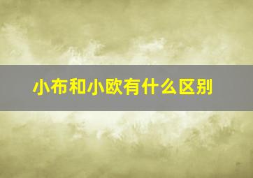 小布和小欧有什么区别