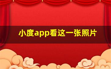 小度app看这一张照片