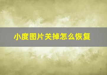 小度图片关掉怎么恢复