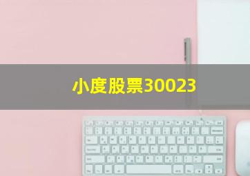 小度股票30023